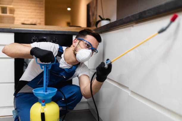 Best Pest Control Treatment  in Satsuma, AL