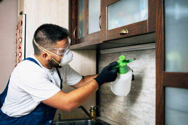 Best Commercial Pest Control Services  in Satsuma, AL