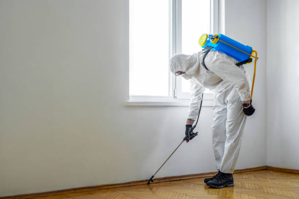 Best Local Pest Control Services  in Satsuma, AL