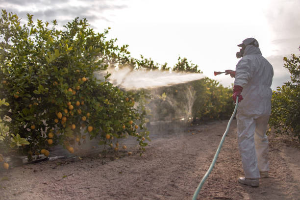 Best Pest Control Near Me  in Satsuma, AL