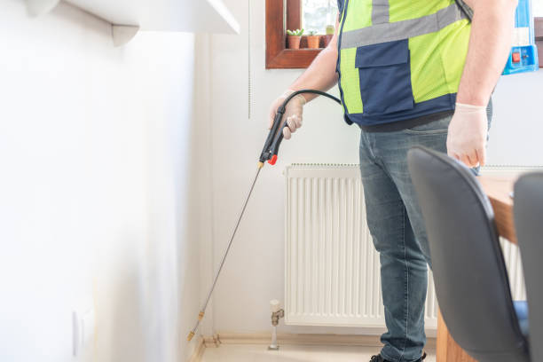 Best Rat Extermination Near Me  in Satsuma, AL