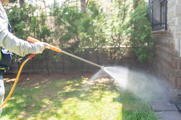 Best Rat Extermination Near Me  in Satsuma, AL