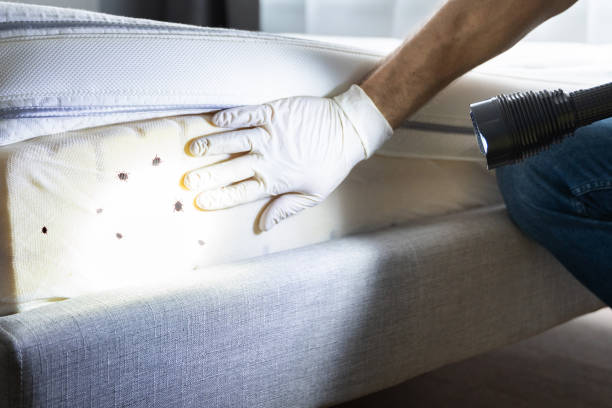 Best Pest Removal Services  in Satsuma, AL