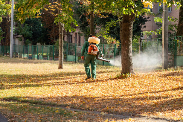 Best Exterminator Services  in Satsuma, AL