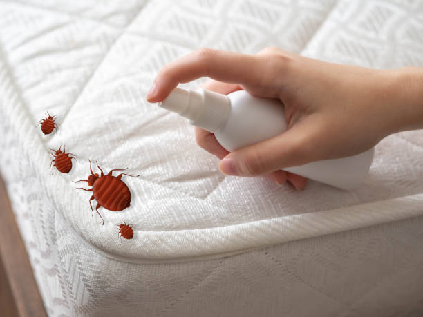 Best Cockroach Control Services  in Satsuma, AL