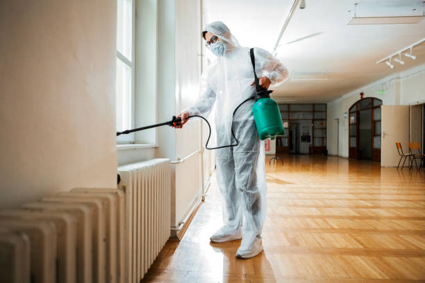 Best Mosquito Control Services  in Satsuma, AL