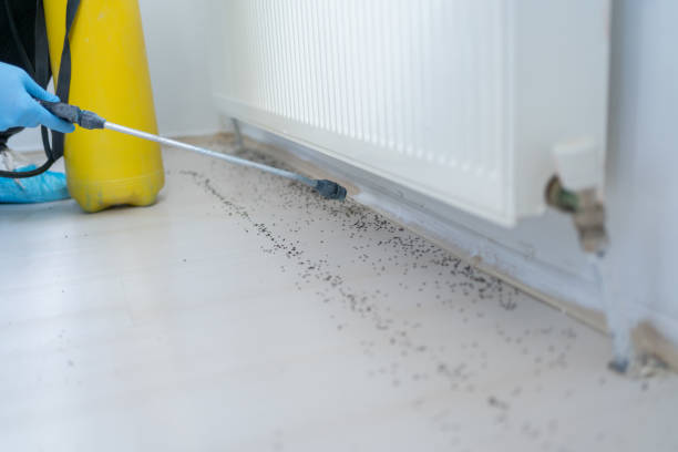 Best Emergency Pest Control  in Satsuma, AL