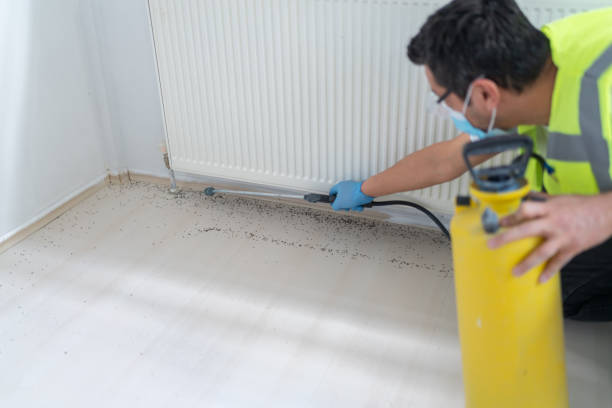 Trusted Satsuma, AL Pest Control Experts