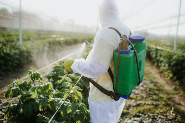 Best Affordable Pest Control Services  in Satsuma, AL